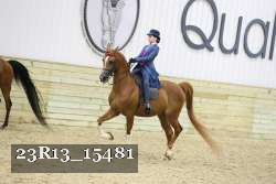 23R13_15481 proof