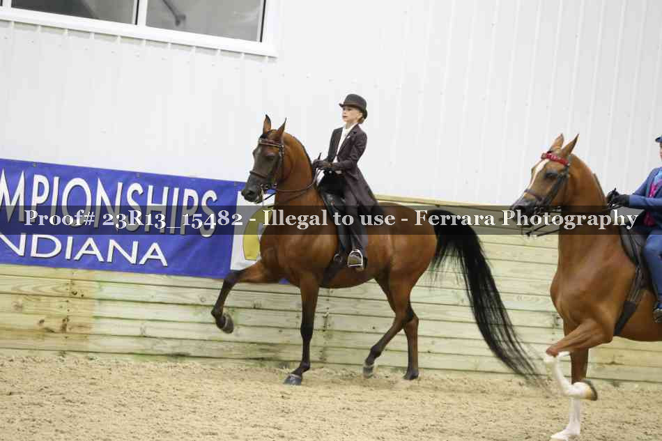 Proof 23R13_15482