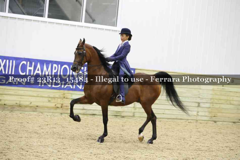 Proof 23R13_15484