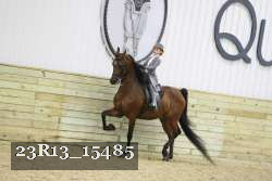 23R13_15485 proof