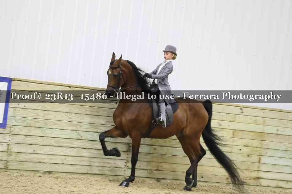 Proof 23R13_15486