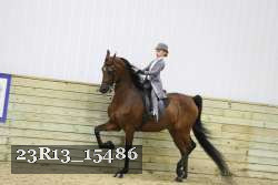 23R13_15486 proof