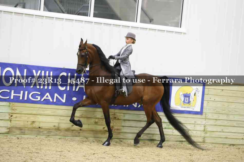 Proof 23R13_15487