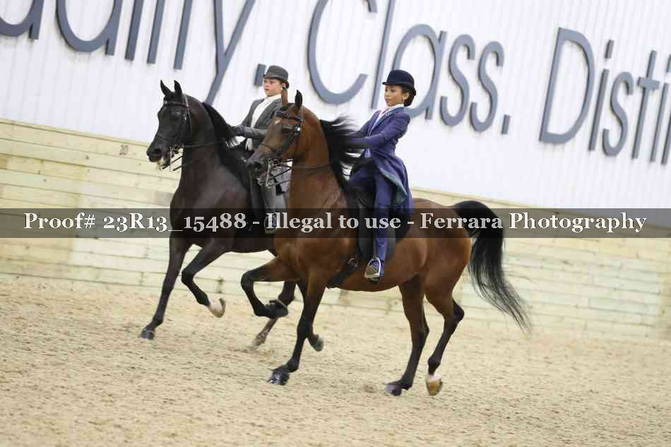 Proof 23R13_15488