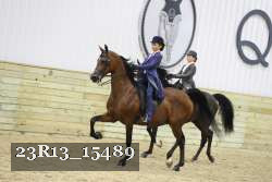 23R13_15489 proof