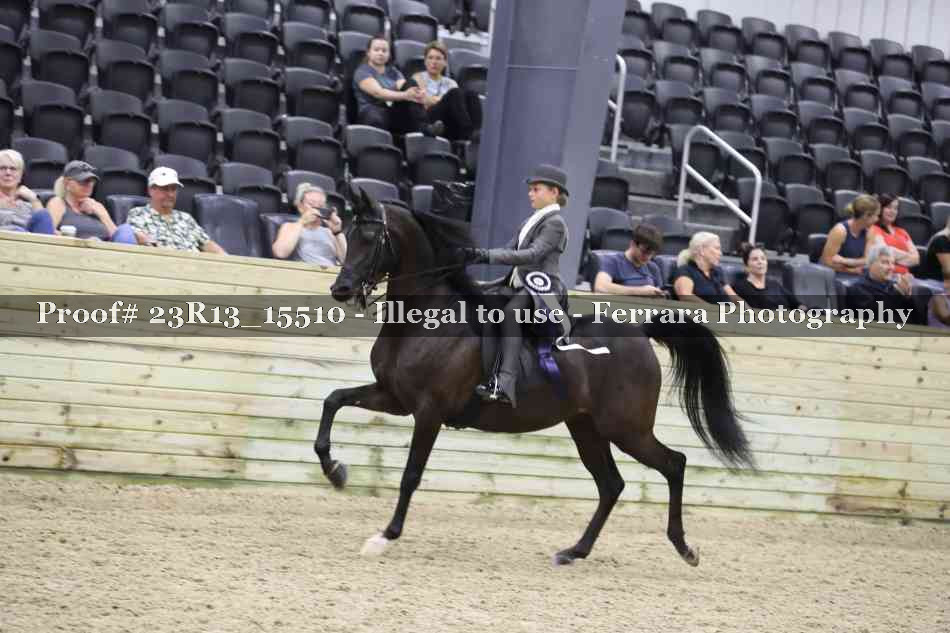 Proof 23R13_15510