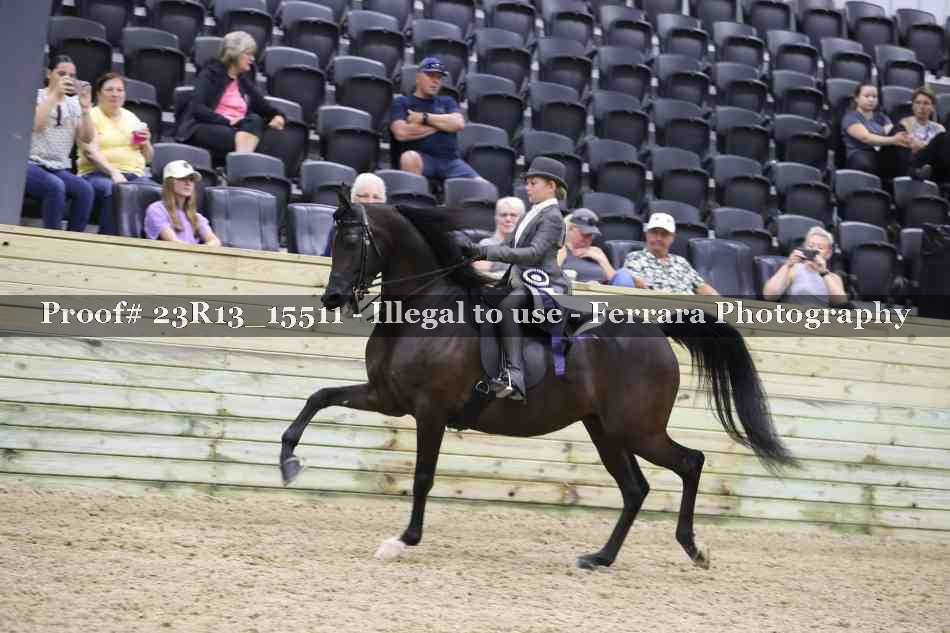 Proof 23R13_15511