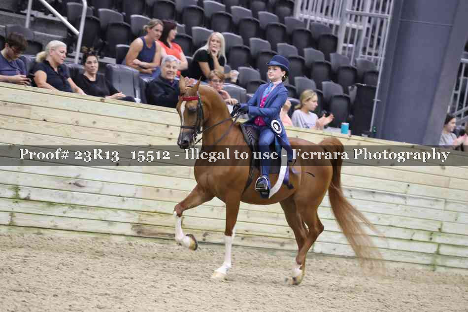Proof 23R13_15512