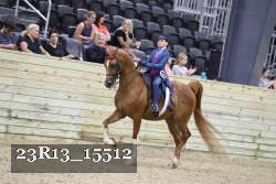 23R13_15512 proof