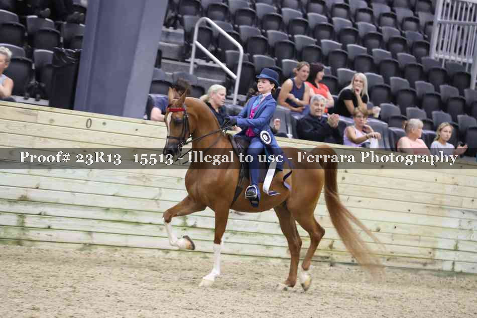 Proof 23R13_15513