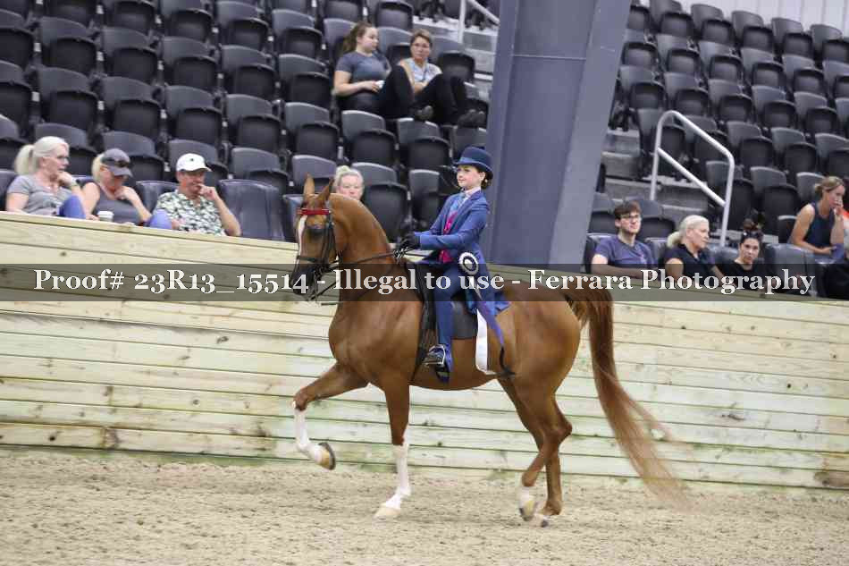 Proof 23R13_15514