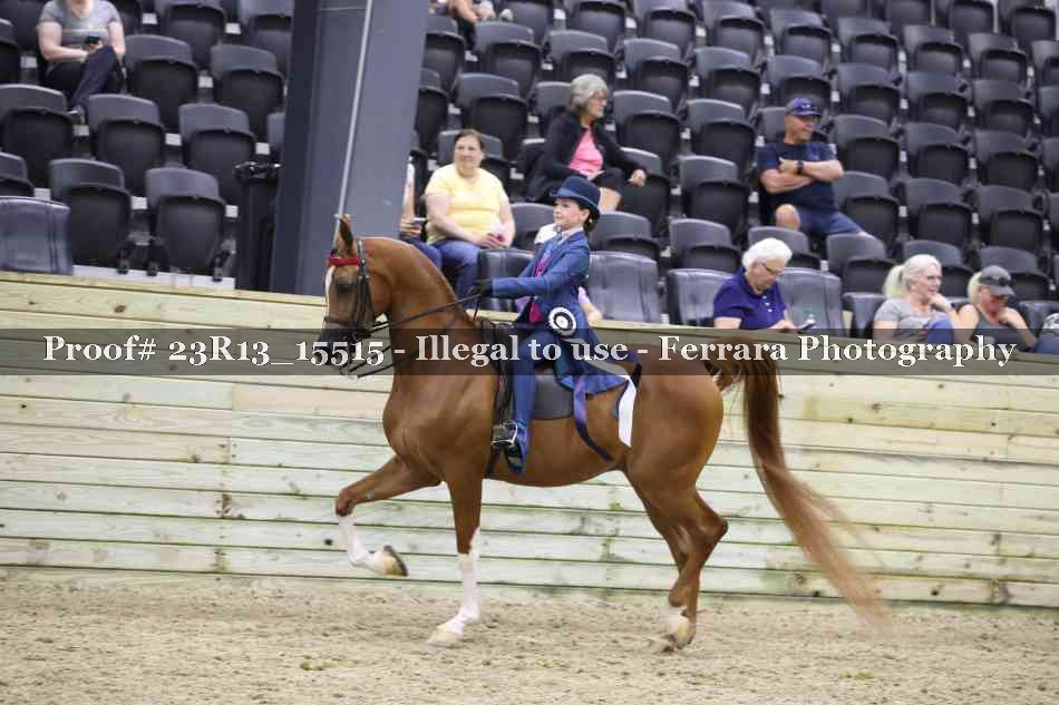 Proof 23R13_15515