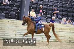 23R13_15515 proof