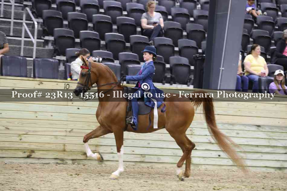 Proof 23R13_15516