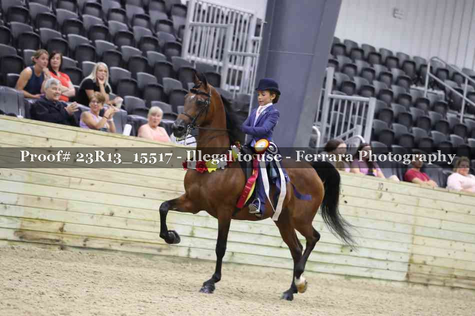Proof 23R13_15517