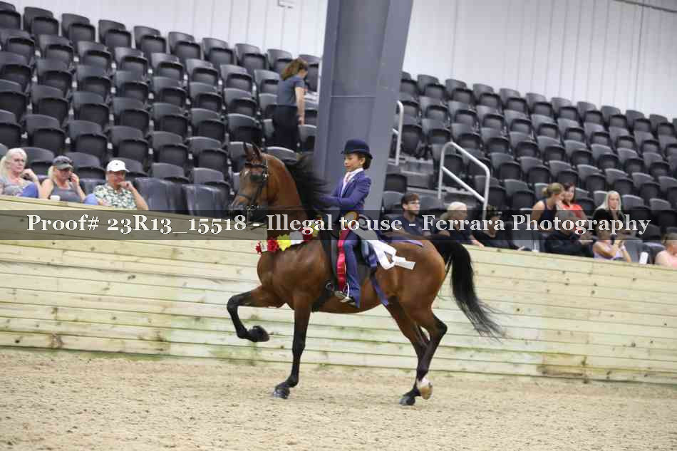 Proof 23R13_15518