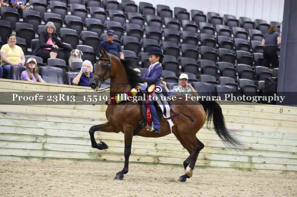 Proof 23R13_15519