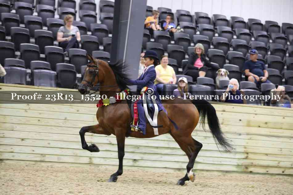 Proof 23R13_15520