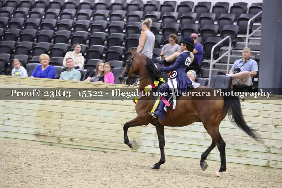 Proof 23R13_15522