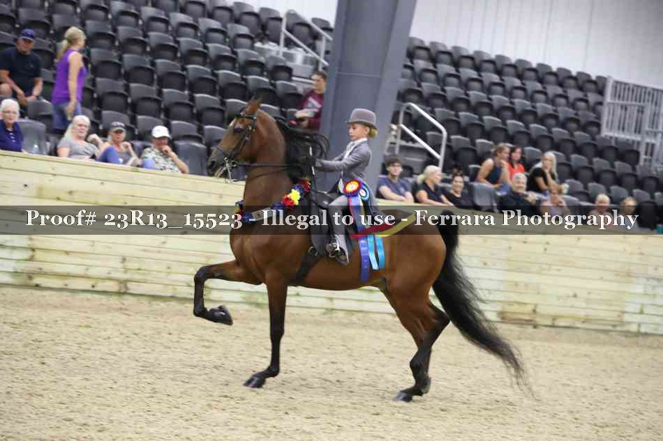 Proof 23R13_15523