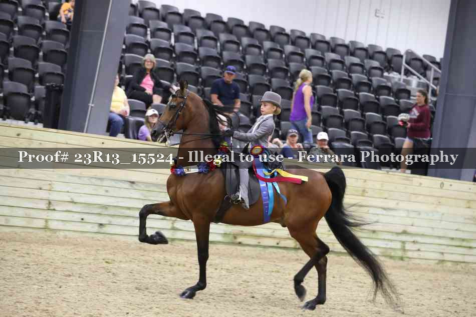 Proof 23R13_15524