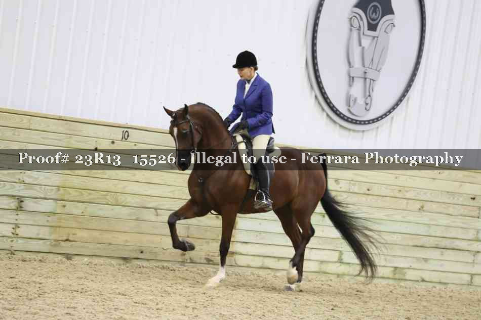 Proof 23R13_15526