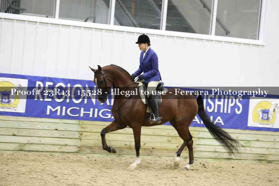 Proof 23R13_15528
