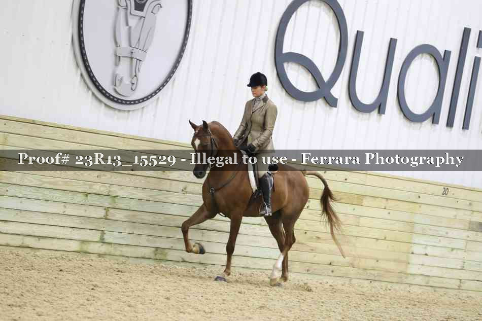Proof 23R13_15529