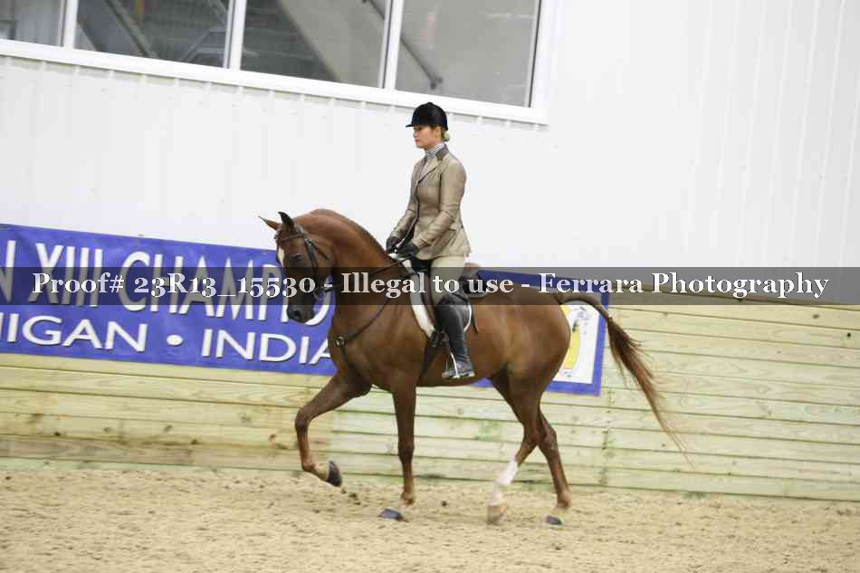 Proof 23R13_15530