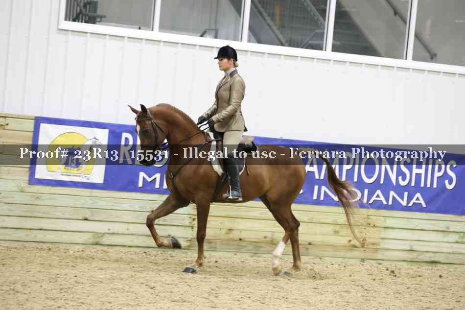 Proof 23R13_15531