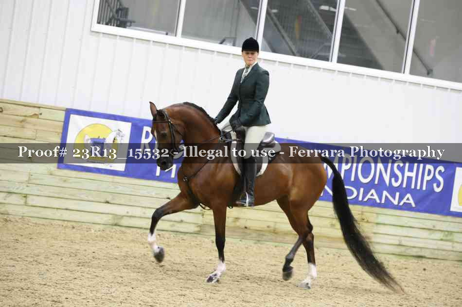 Proof 23R13_15532