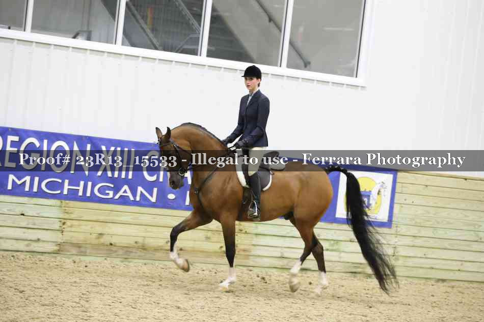 Proof 23R13_15533