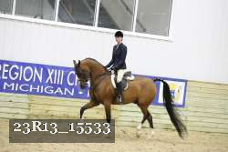 23R13_15533 proof