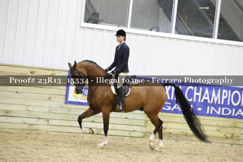 Proof 23R13_15534