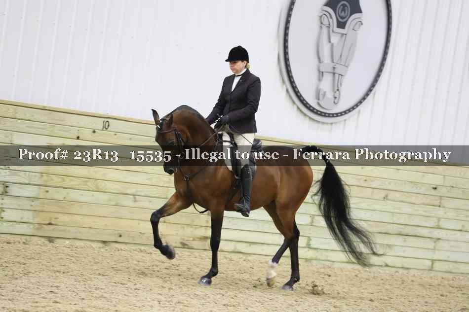 Proof 23R13_15535