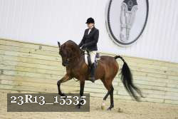 23R13_15535 proof