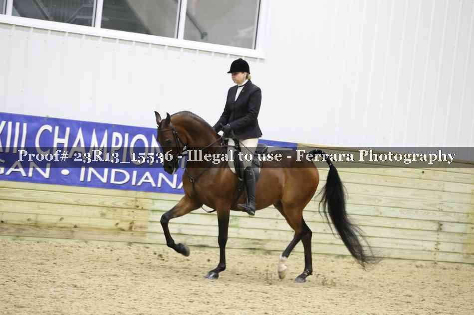 Proof 23R13_15536