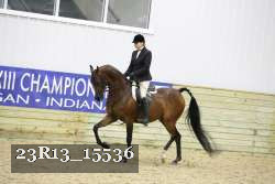23R13_15536 proof