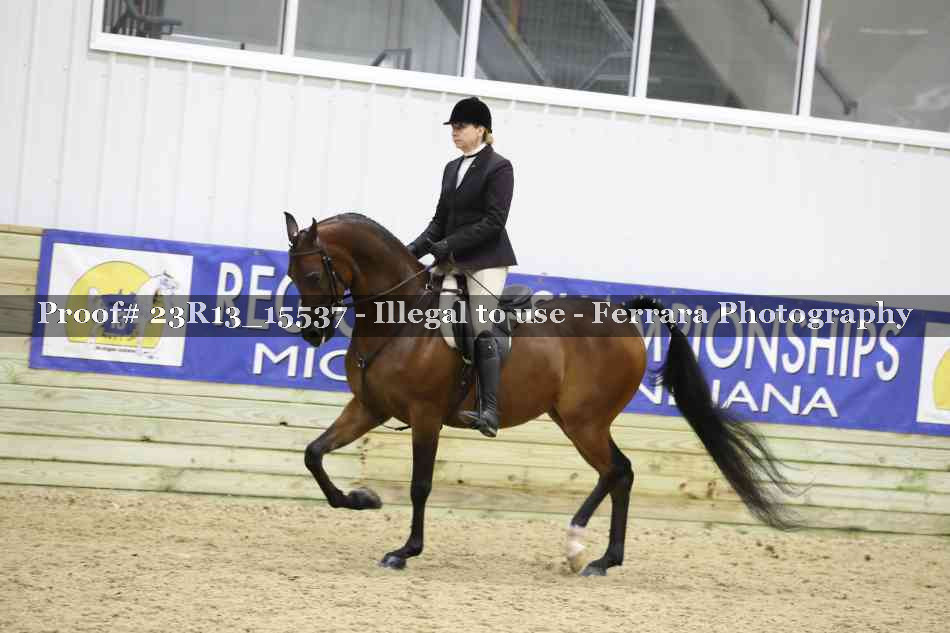 Proof 23R13_15537