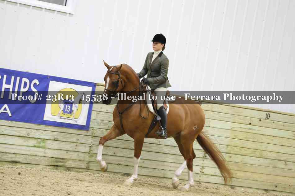 Proof 23R13_15538