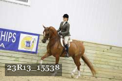 23R13_15538 proof
