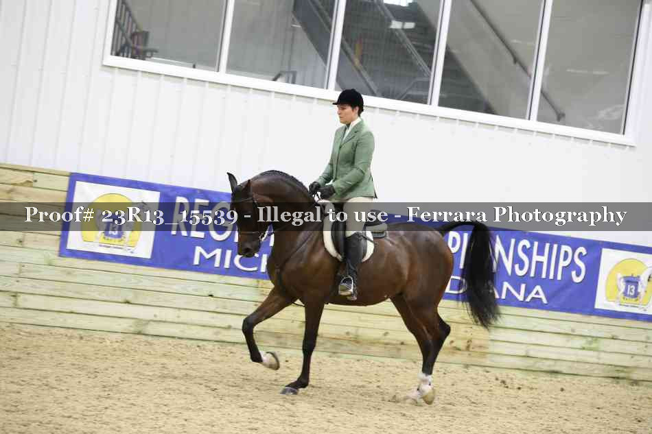 Proof 23R13_15539