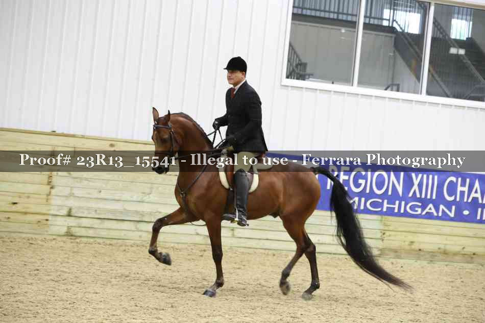 Proof 23R13_15541