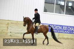 23R13_15541 proof