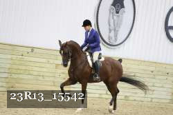 23R13_15542 proof