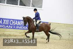 23R13_15543 proof