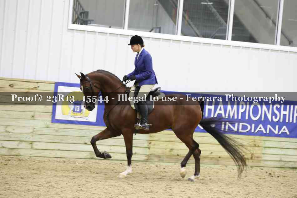Proof 23R13_15544