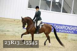 23R13_15545 proof