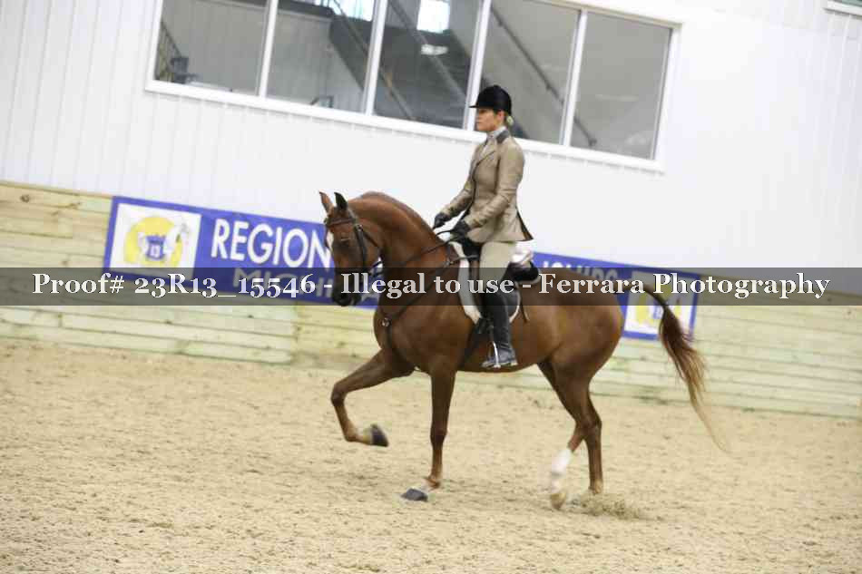 Proof 23R13_15546