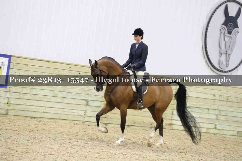 Proof 23R13_15547